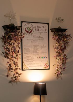 The welcome sheet framed on the treatment-room wall, lit by a lamp below and flanked by trailing plants on two small shelves